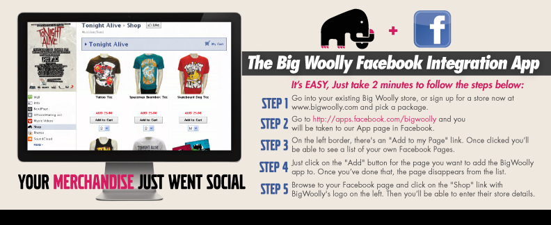 Facebook, the world�s largest social media site and artist/fan communication hub can now be transformed into a fully customisable store front. 